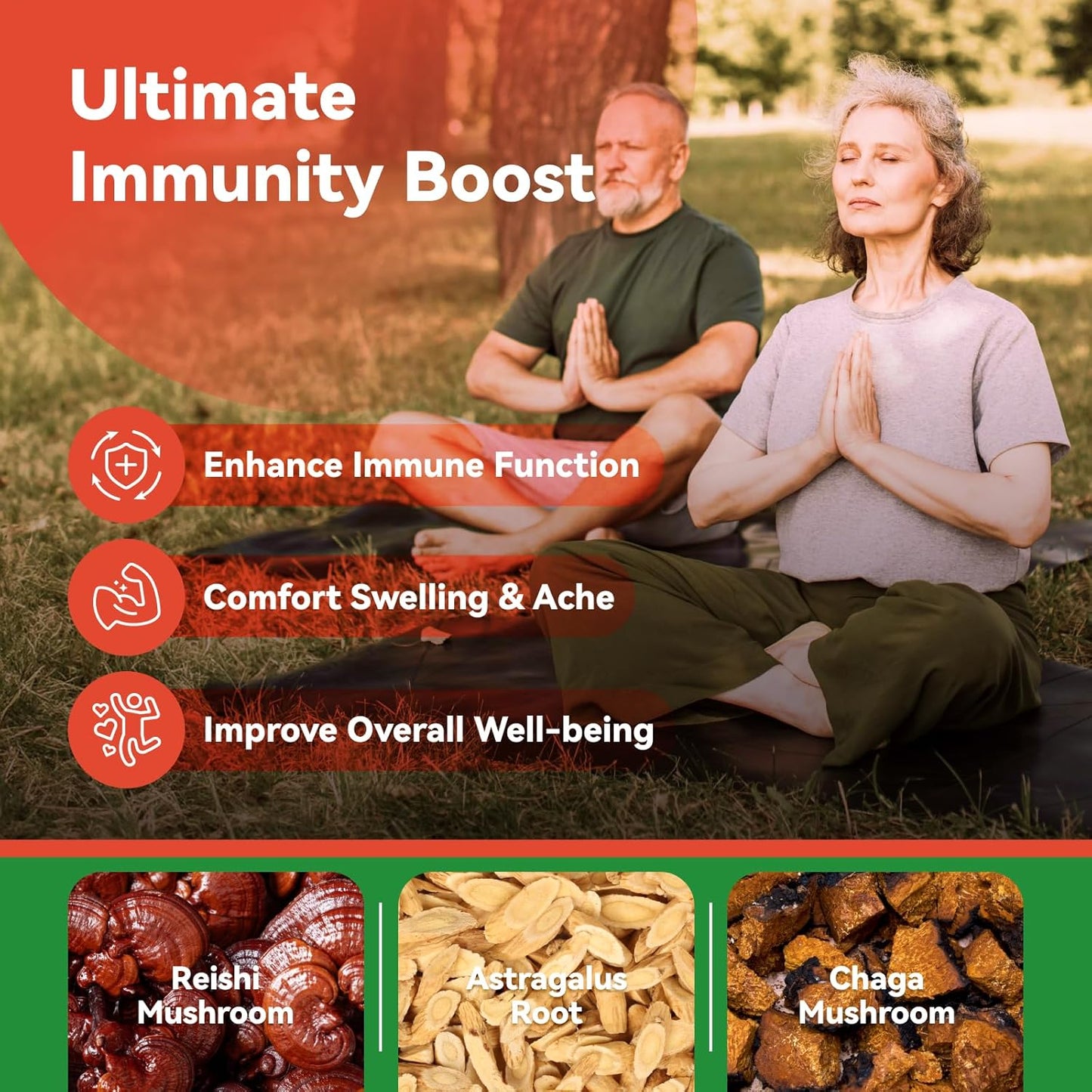 Reishi Mushroom Supplement, 60 Capsules, 1 Pack