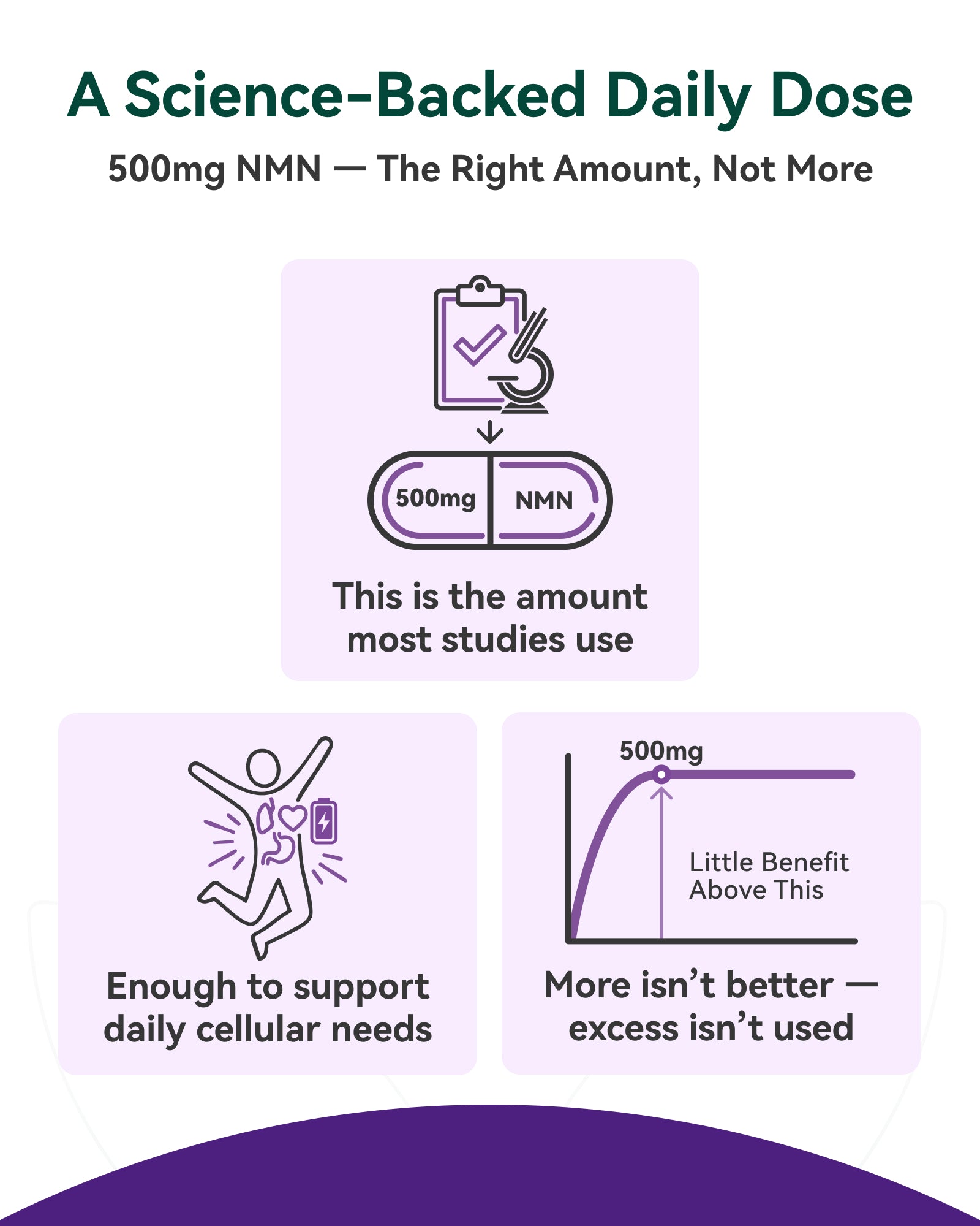 NMN Supplement 500mg, 99.9% High Purity, Supports NAD+ Levels & Cellular Energy, 5-in-1 Formula with Resveratrol & Astaxanthin, Non-GMO, Gluten-Free, 60 Capsules