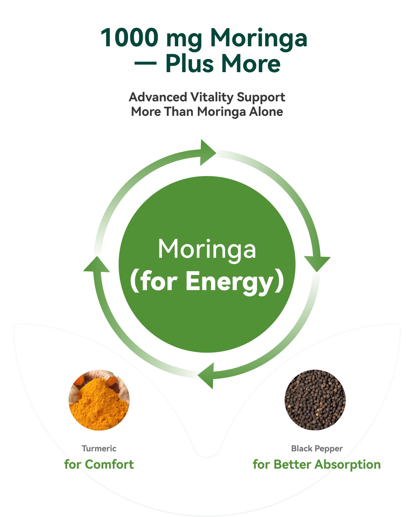 Moringa Capsules 1000mg 60 Count