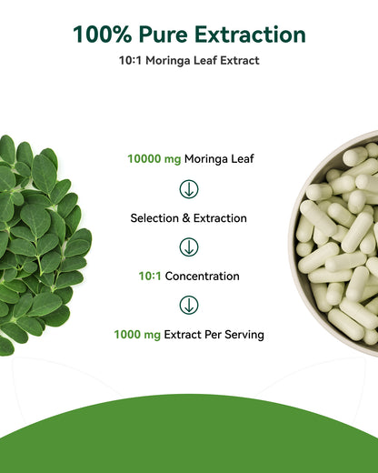 Moringa Capsules 1000mg 60 Count