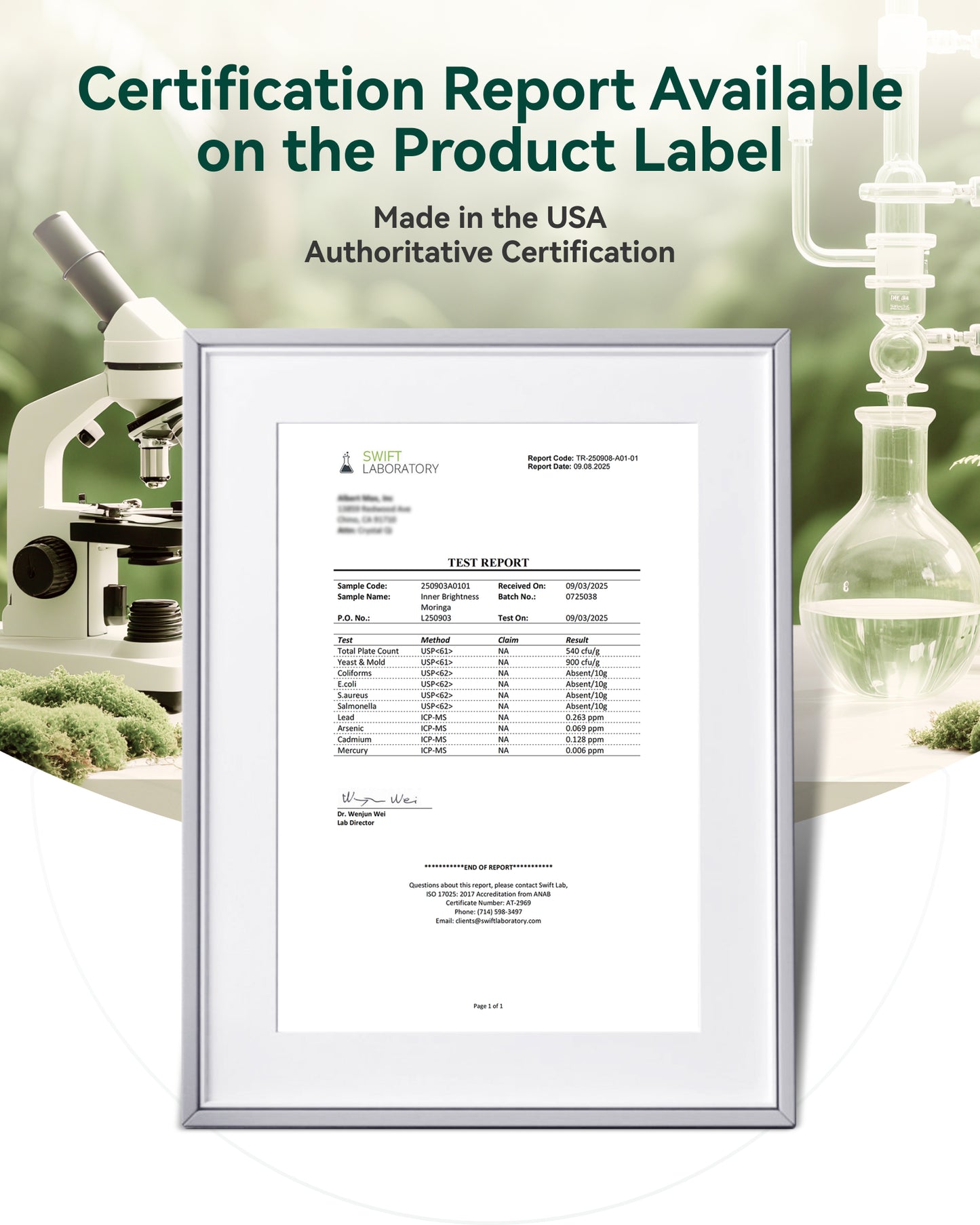 Moringa Capsules 1000mg 60 Count