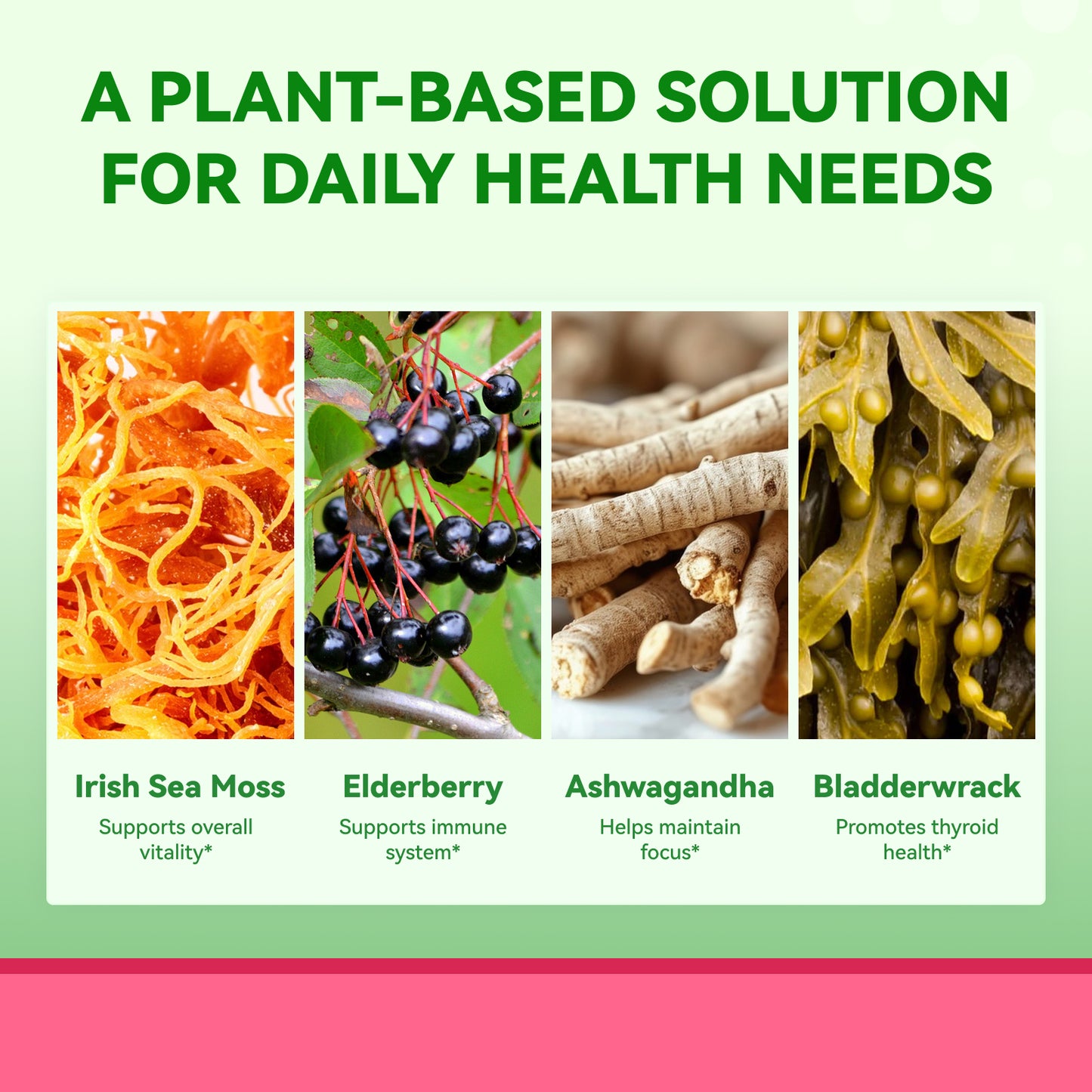 Sea Moss 4000mg Gummies with Ashwagandha，Mixed Berry Flavor – 60 Count