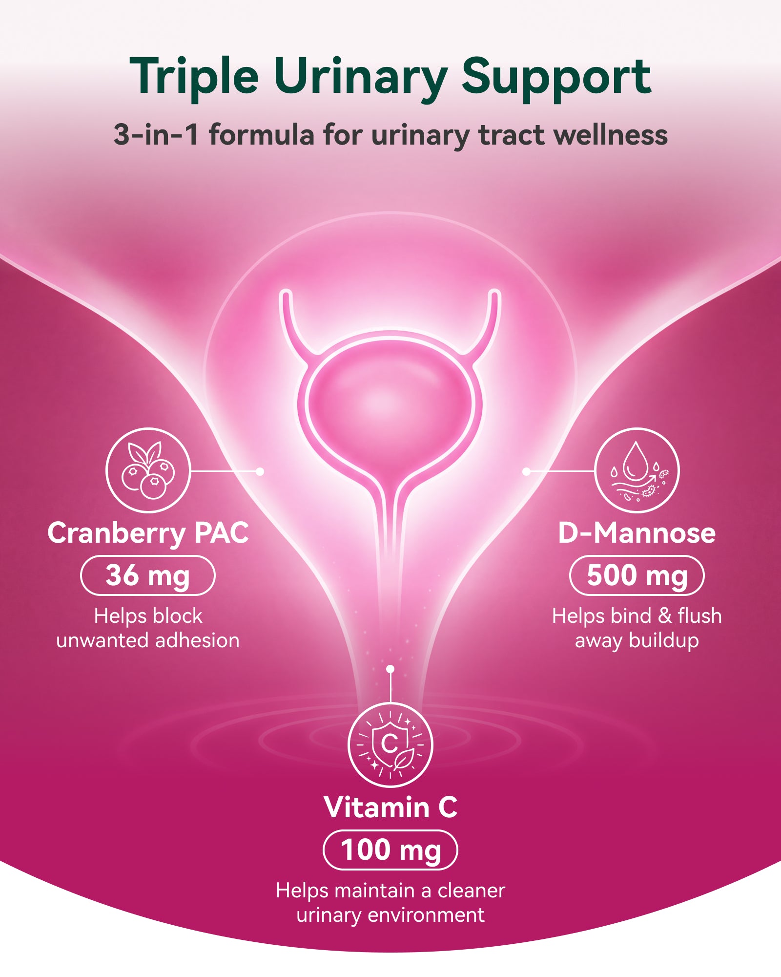 Cranberry Supplement 36 mg PAC with D-Mannose & Vitamin C, Cranberry Pills for Women, Cranberry Capsules, 3-in-1 Daily Urinary Tract Support, Soluble A-Type PACs, Vegan, Gluten-Free, 90 Capsules