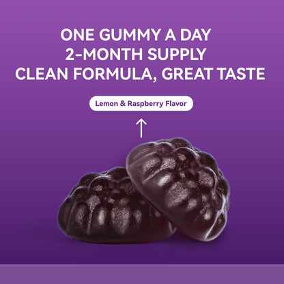 Elderberry Gummies, each containing 50 mg of extract, lemon-raspberry flavor, 60 Count