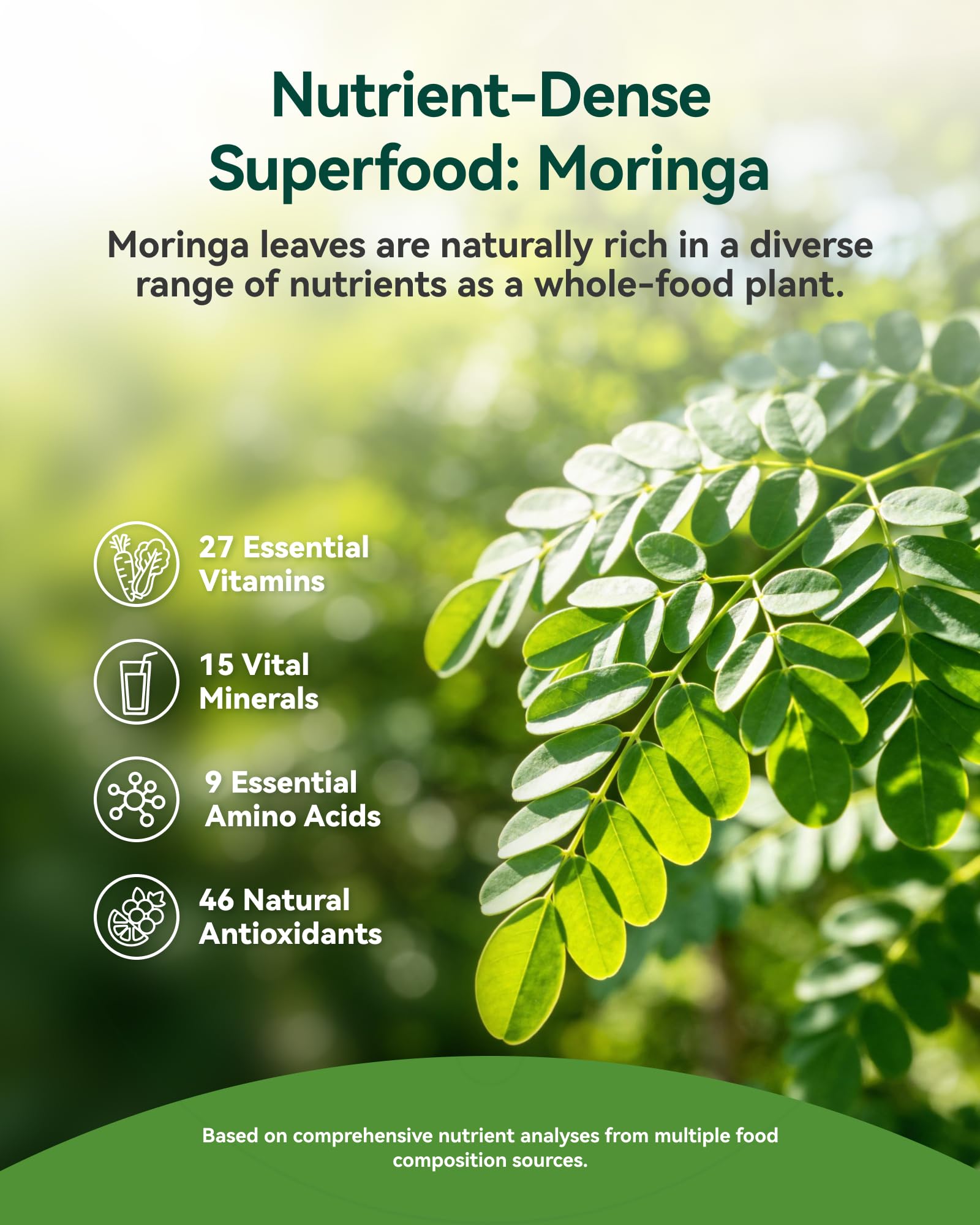 Inner Brightness Moringa Gummies 1000mg Per Serving – 10:1 Moringa Leaf Extract Green Superfood for Energy and Immune Support – Vegan, Non-GMO, 60 Count, Made in US