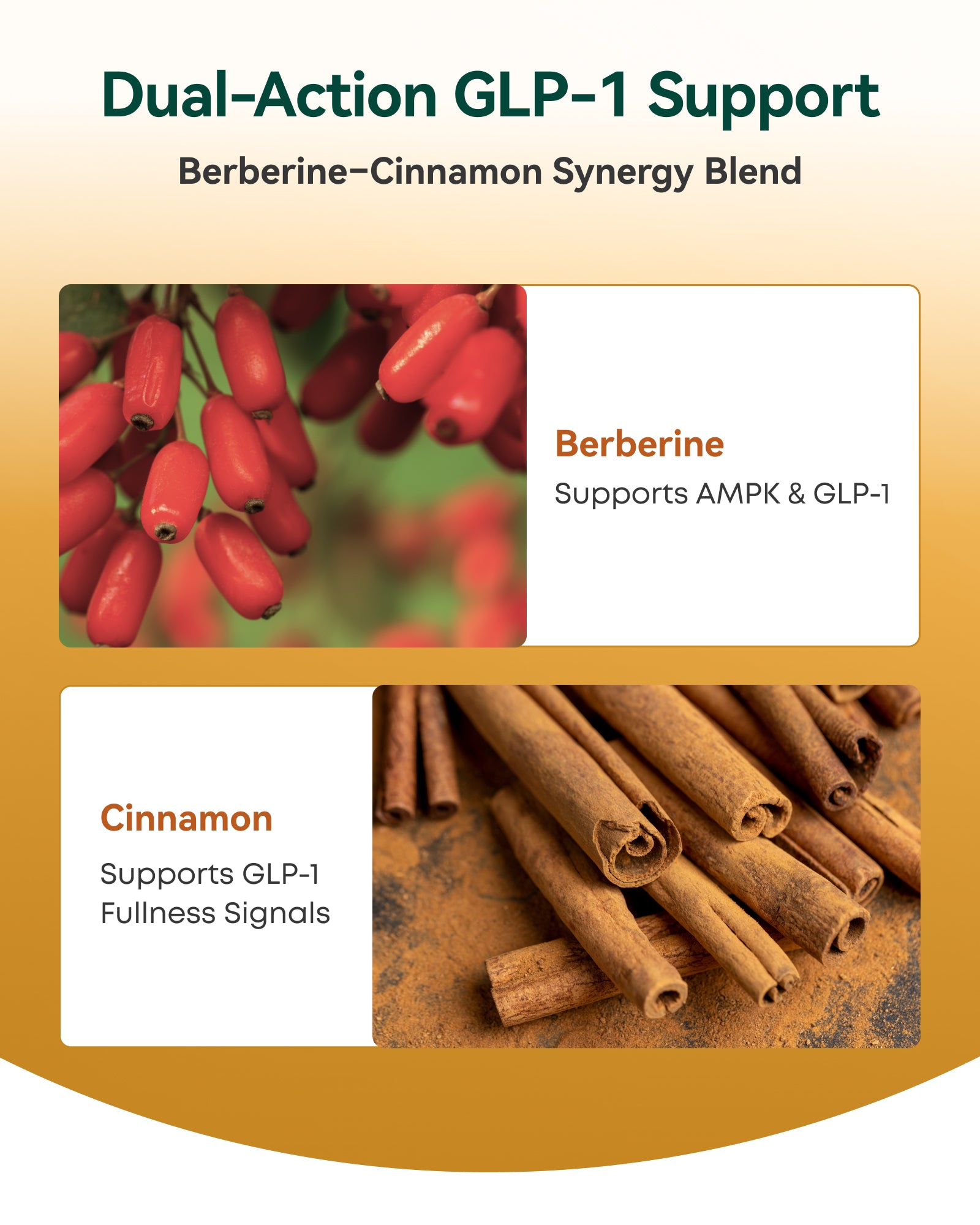 Liposomal Berberine with Ceylon Cinnamon - GLP-1 Friendly, High-Absorption Berberine Supplement, Natural Metabolic Support - Non-GMO, 60 Veg Capsules, Made in USA, Lab Tested